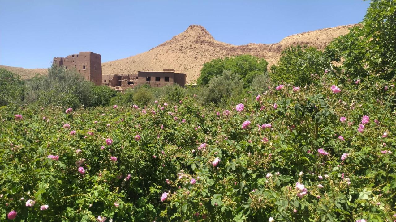 Bed and Breakfast Les Jardins Du M'Goun Kelaat-M'Gouna Zewnętrze zdjęcie